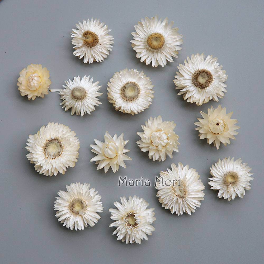 天然のドライでカラフルな菊の花輪,手作りのヘアアクセサリー, - Baby Product のレビューと価格