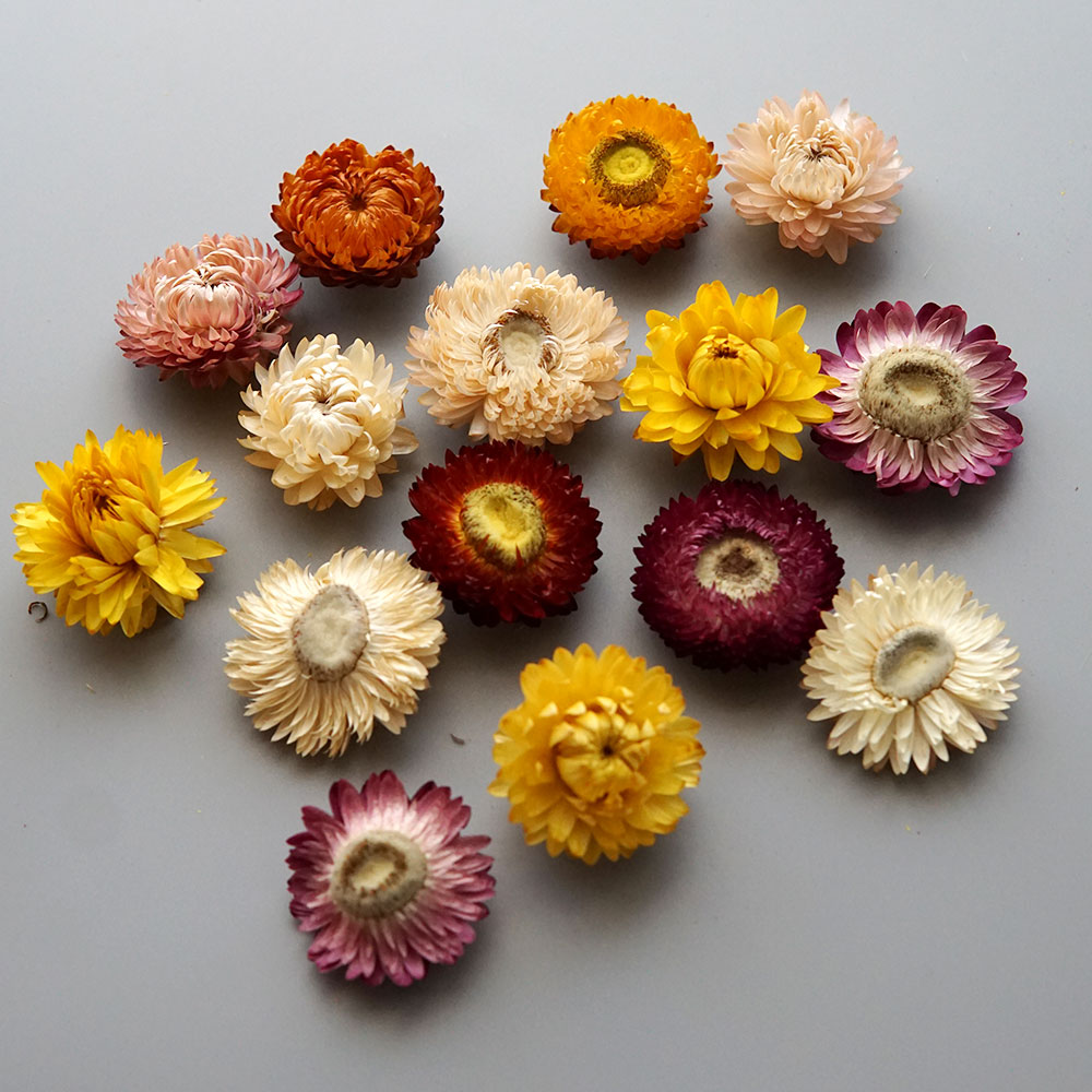 天然のドライでカラフルな菊の花輪,手作りのヘアアクセサリー, - Baby Product のレビューと価格
