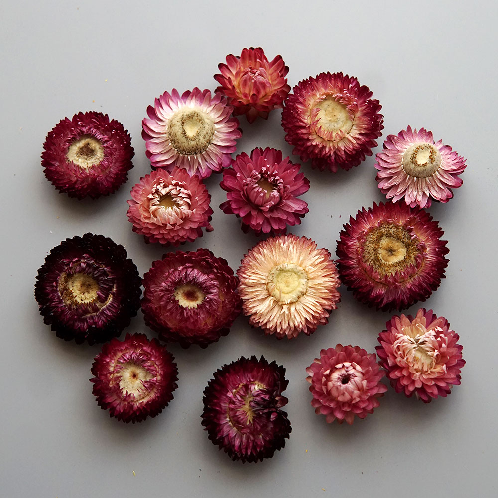 天然のドライでカラフルな菊の花輪,手作りのヘアアクセサリー, - Baby Product のレビューと価格