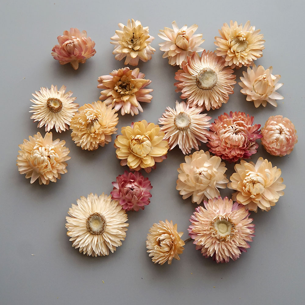 天然のドライでカラフルな菊の花輪,手作りのヘアアクセサリー, - Baby Product のレビューと価格